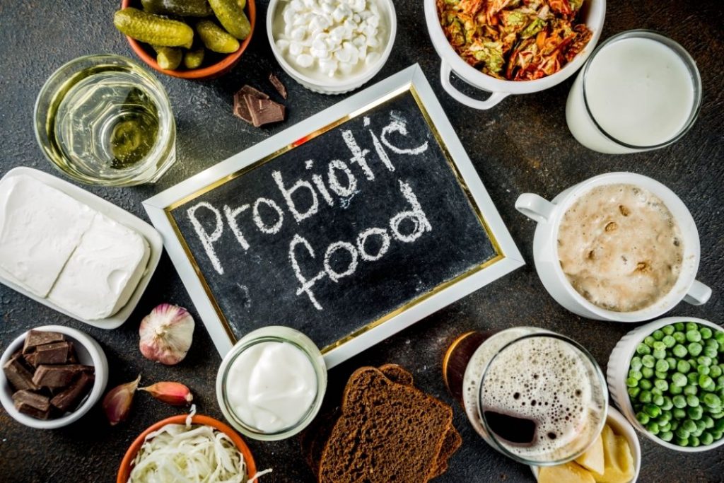 Gut Bacteria - Probiotic Food