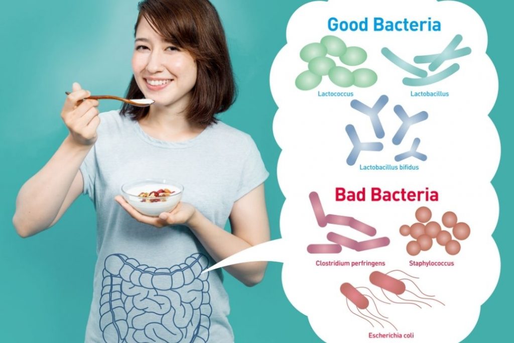 Gut Bacteria - Nutrition Essentials
