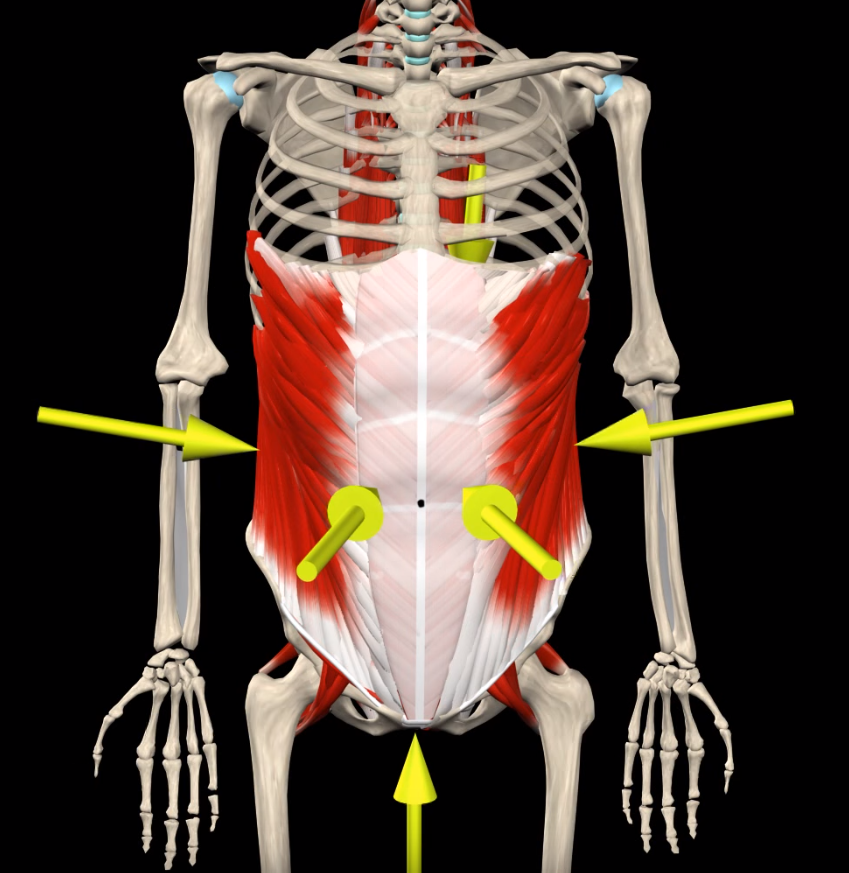 Abdominal Bracing - Spinal Loosening Exercises