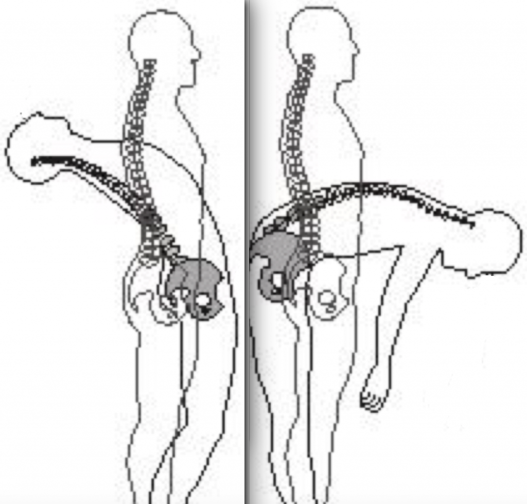 Spinal Flexion Extension - Spinal Loosening